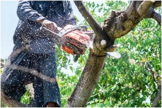 tree services Claremore